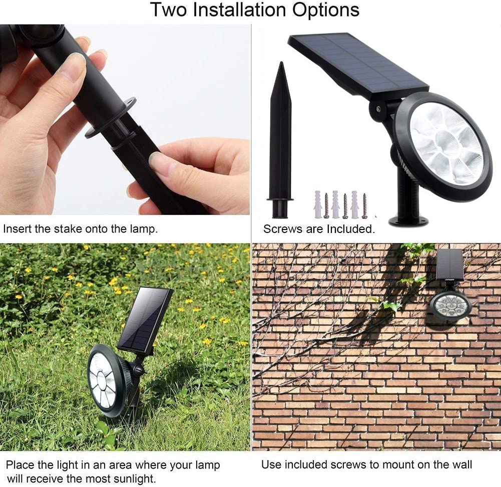 D 7 Այգու արևային լույս