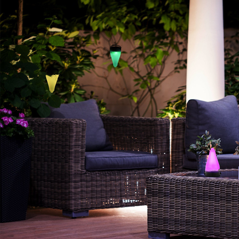 D13 Այգու արևային լույս